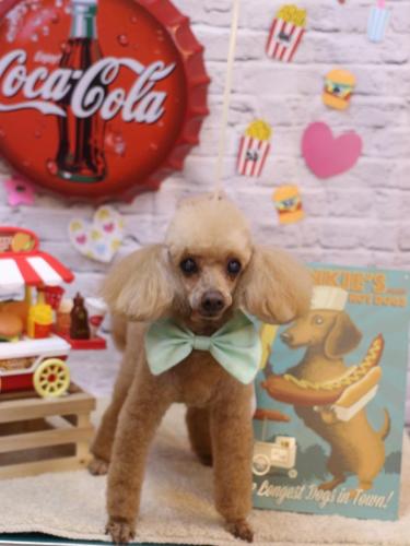 20230908リールちゃん